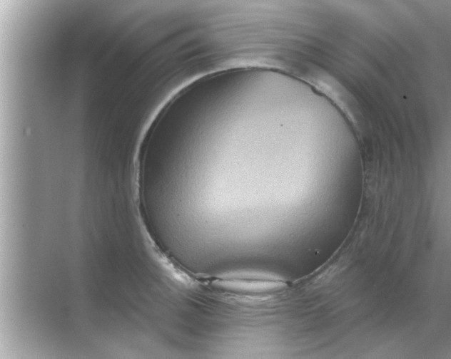 X0000070861140200606302039