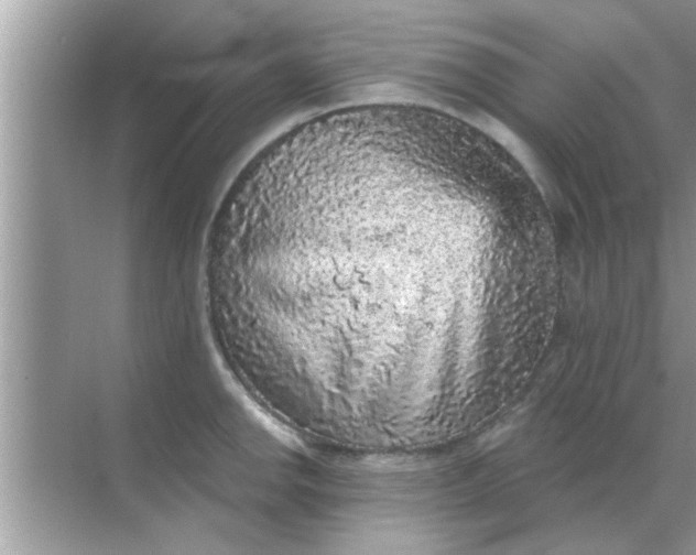 X0000070861142200606302039