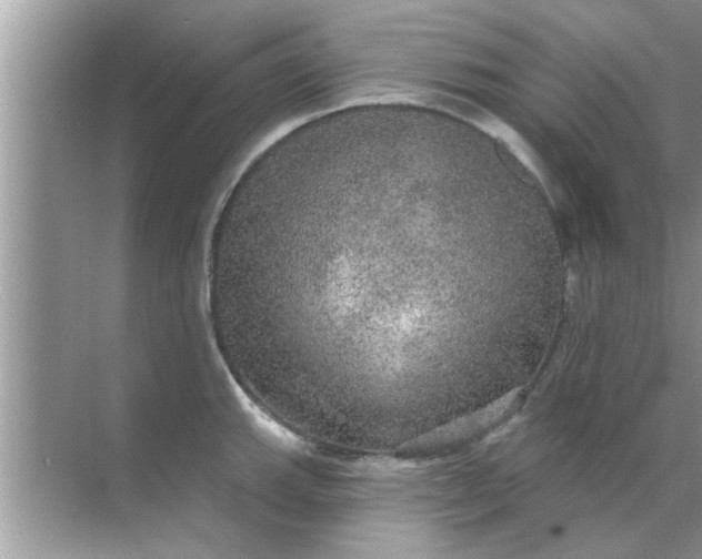 X0000070861143200606302039