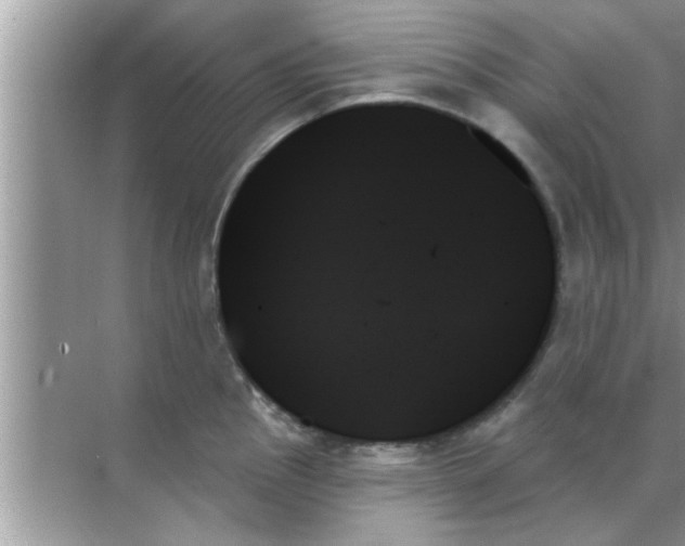 X0000070861145200606302039