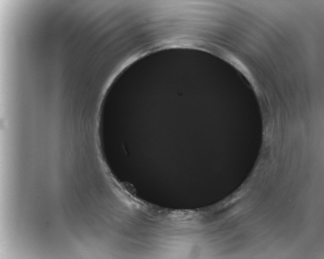 X0000070861146200606302039