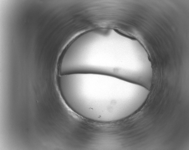 X0000070861147200606302039