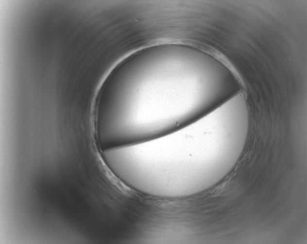 X0000070861148200606302039