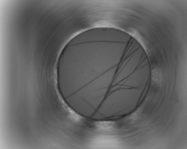 X0000070861150200606302039