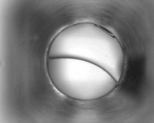 X0000070861151200606302039