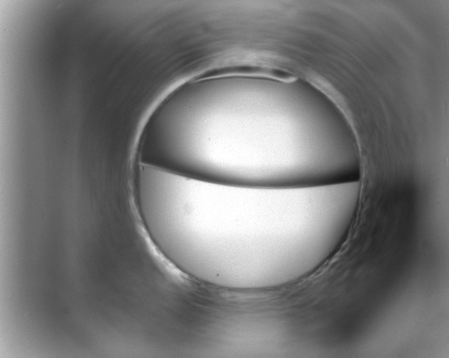 X0000070861152200606302039