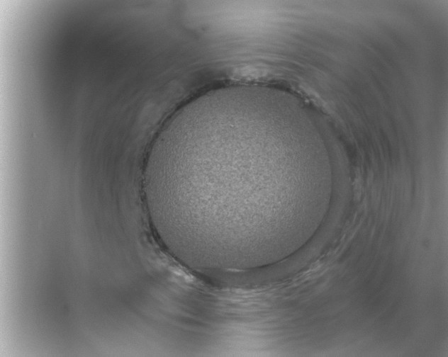 X0000070861153200606302038