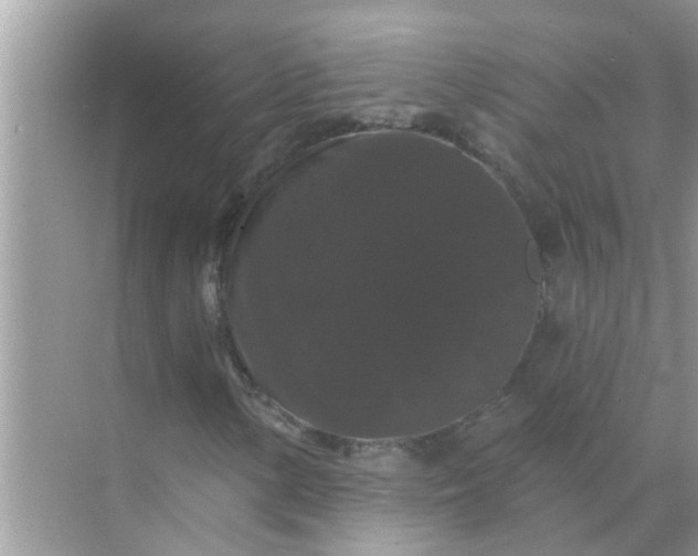 X0000070861154200606302038