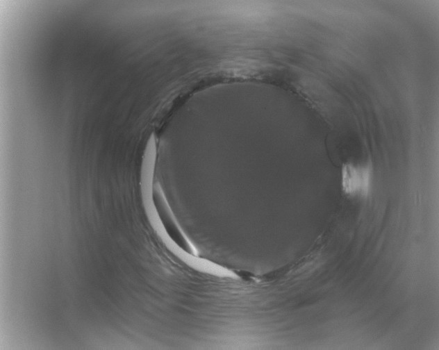 X0000070861155200606302038