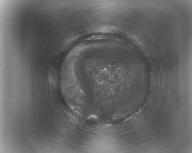 X0000070861158200606302038