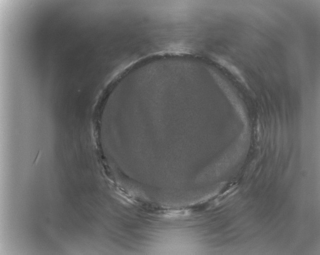 X0000070861160200606302038