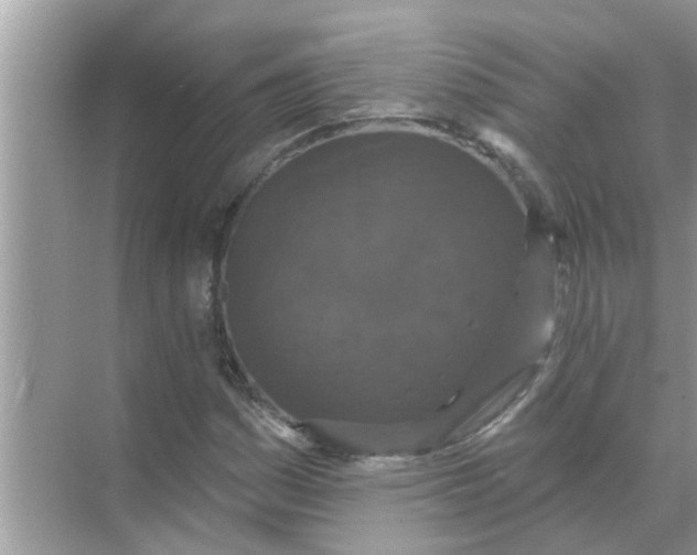 X0000070861161200606302038