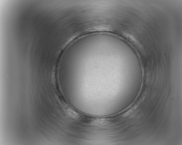 X0000070861162200606302038