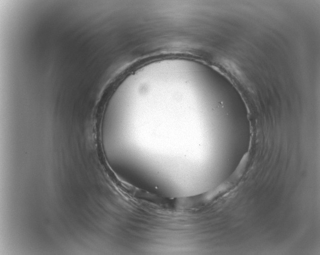 X0000070861164200606302038