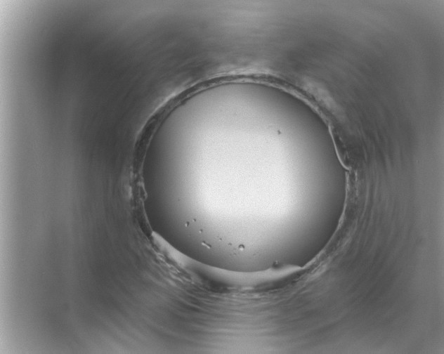 X0000070861165200606302038