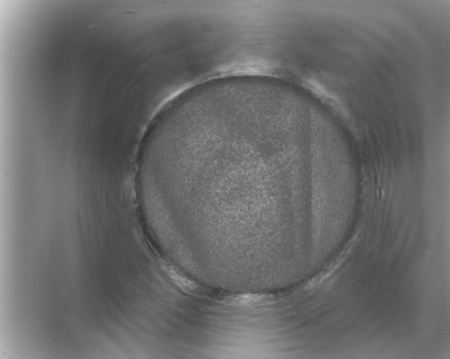 X0000070861166200606302038