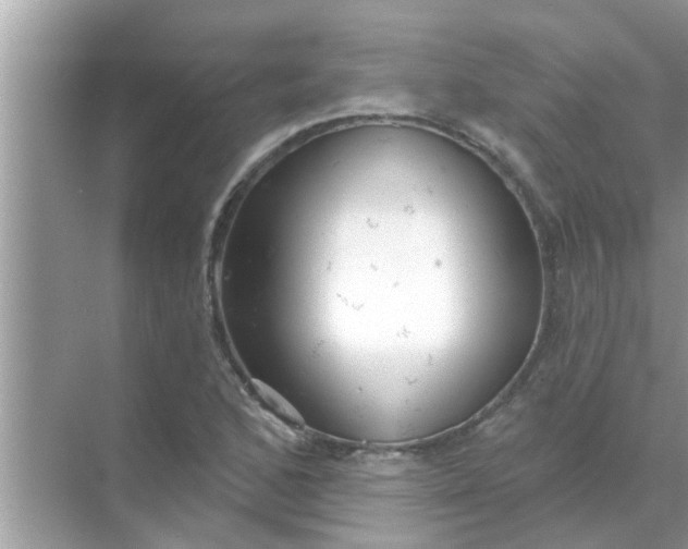 X0000070861168200606302038