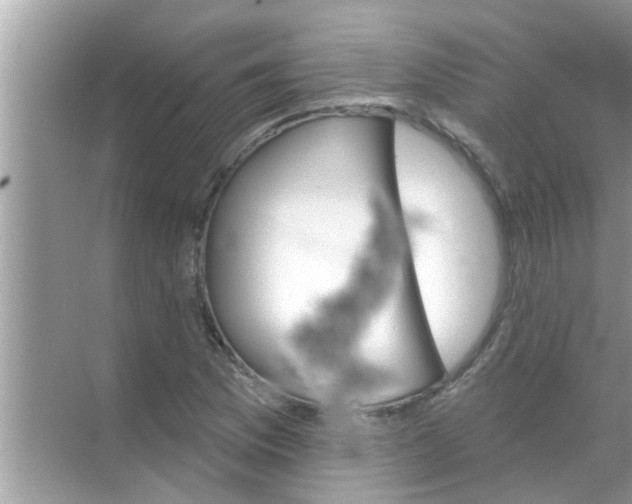 X0000070861169200606302038