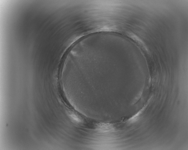 X0000070861170200606302038