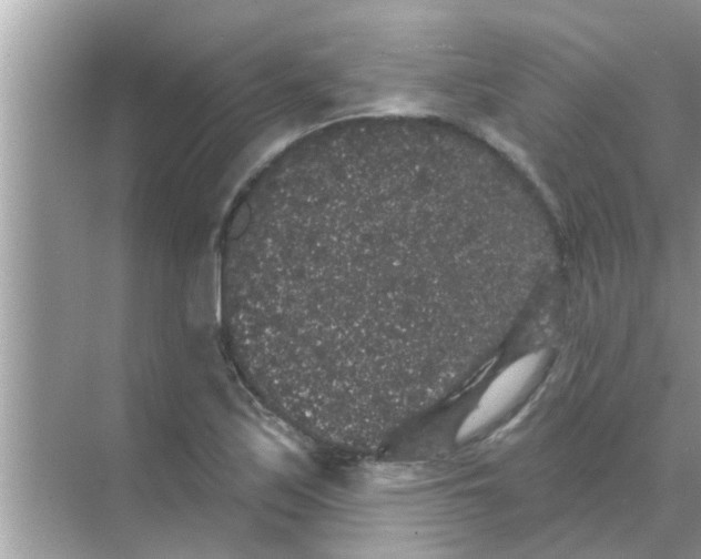 X0000070861171200606302038