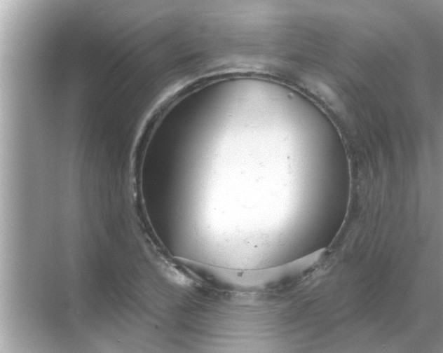 X0000070861172200606302038