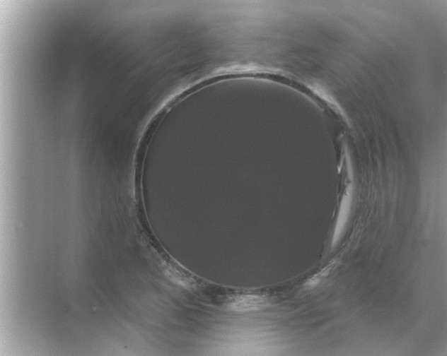 X0000070861173200606302038