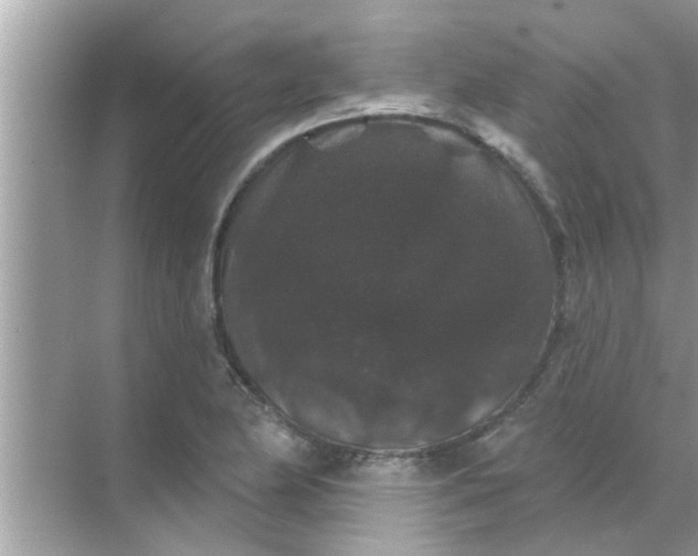 X0000070861174200606302038