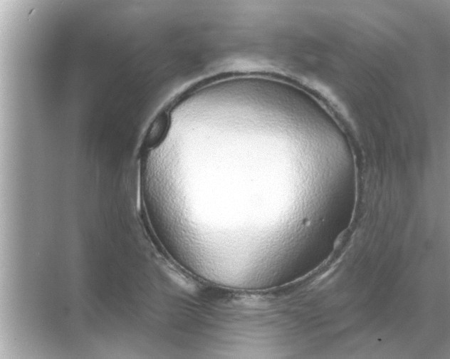 X0000070861175200606302038