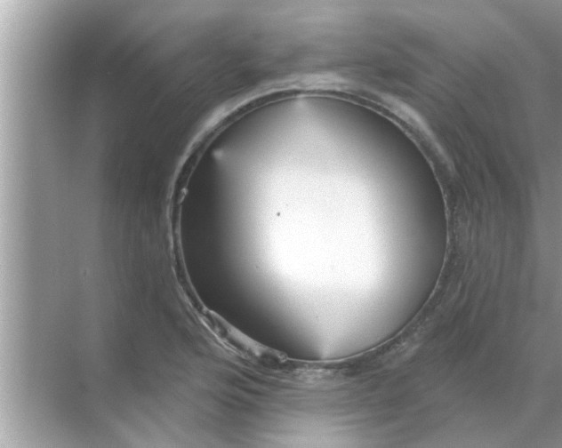 X0000070861176200606302038