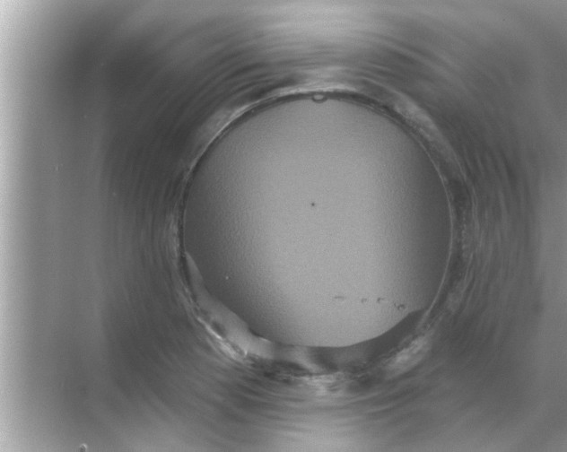 X0000070861177200606302038