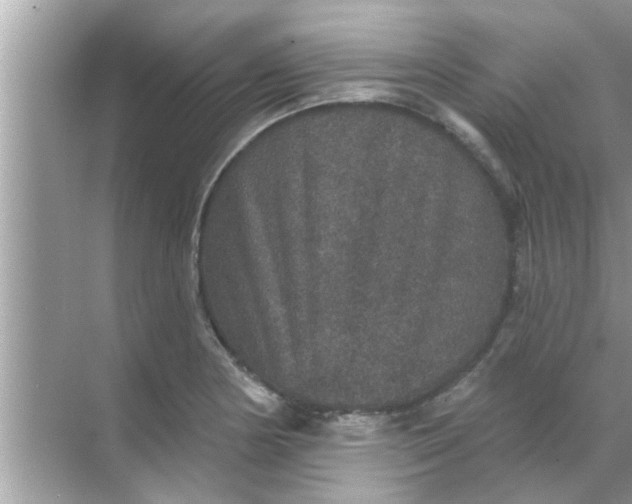 X0000070861178200606302038