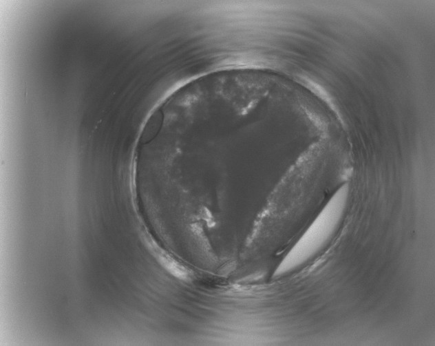 X0000070861179200606302038