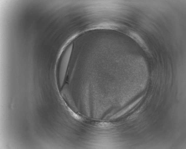 X0000070861180200606302038