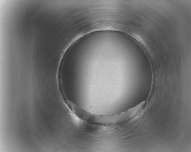 X0000070861181200606302038