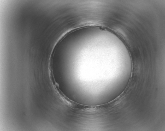 X0000070861182200606302038