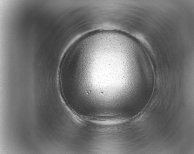 X0000070861183200606302038