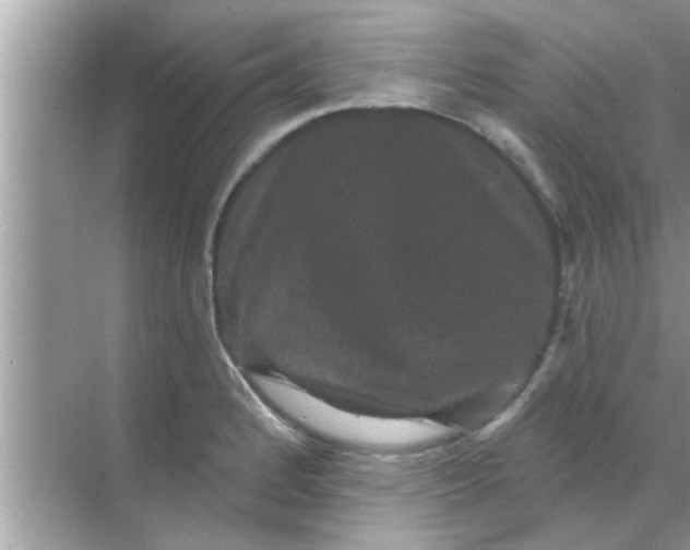 X0000070861184200606302038