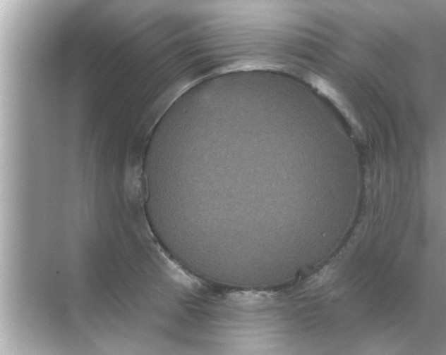 X0000070861185200606302038