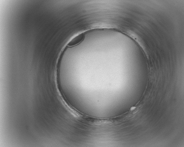 X0000070861187200606302038