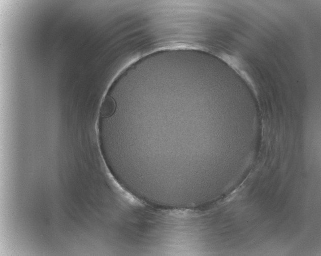 X0000070861189200606302038