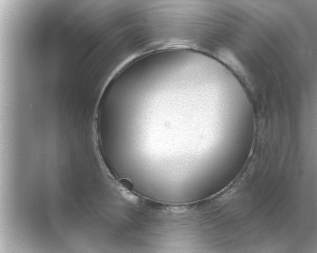 X0000070861190200606302038