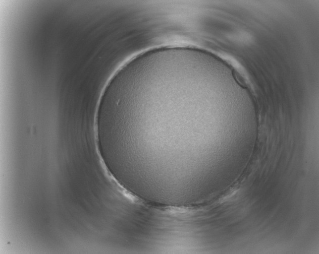 X0000070861191200606302038