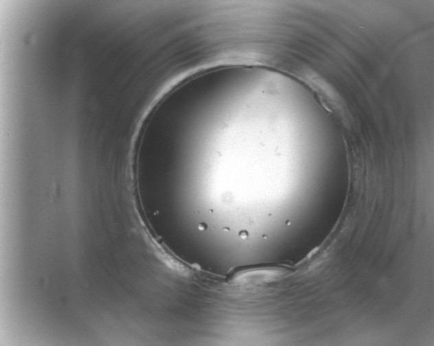 X0000070861192200606302038