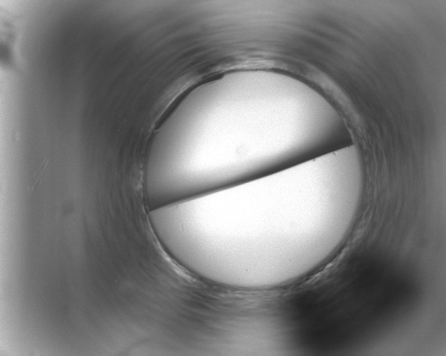 X0000070861193200606302038