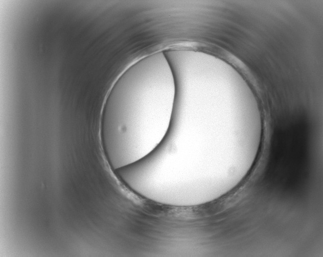 X0000070861194200606302038