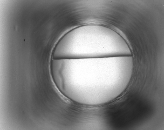 X0000070861195200606302038