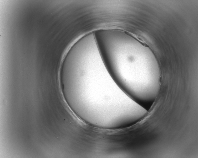 X0000070861196200606302038