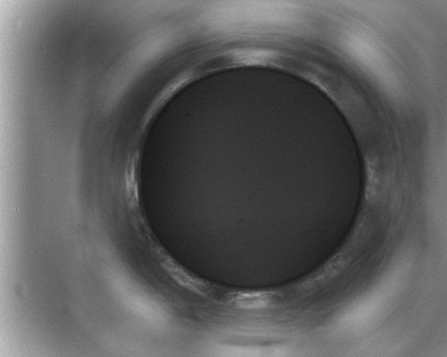 X0000070861198200606302038