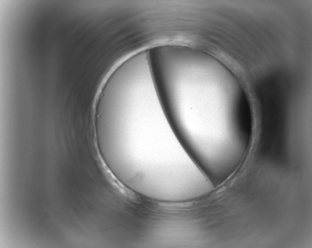 X0000070861200200606302038