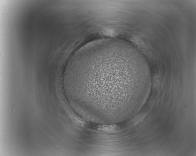 X0000070861201200606302037